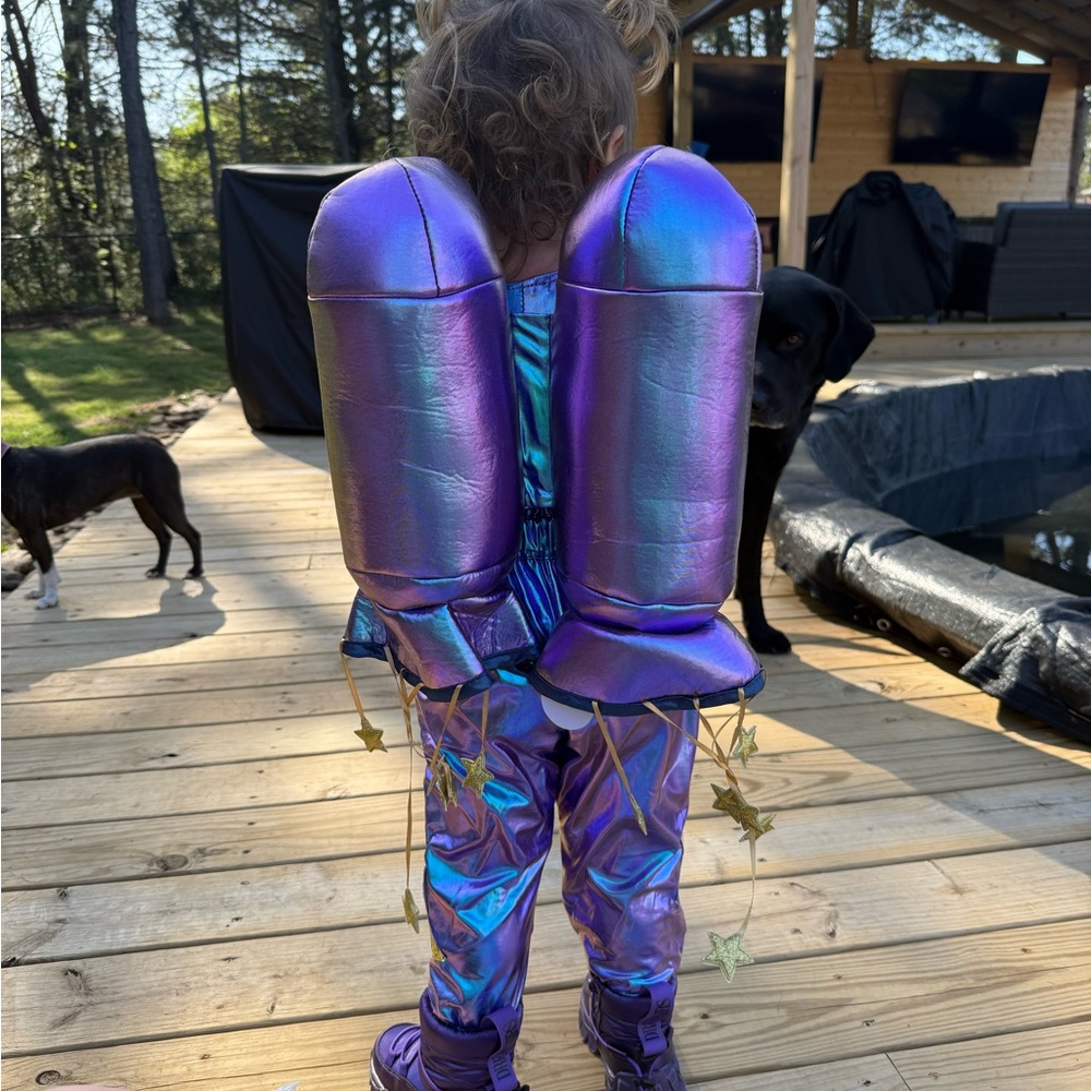 Pottery Barn Kids Iridescent Space Costume